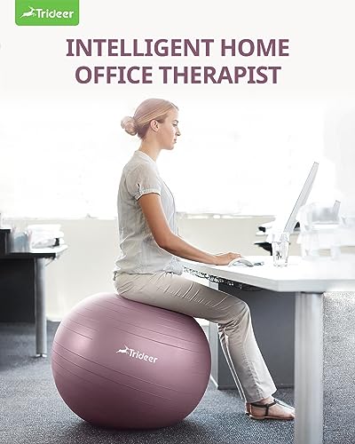 Trideer Yoga Ball - Anti-Burst Exercise Ball for Home Gym
