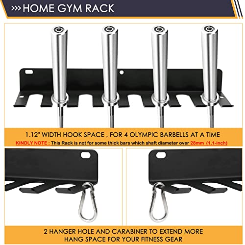Aolamegs Heavy-duty Home Gym Storage Rack with 9 Hooks