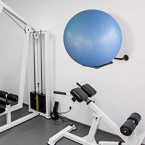 Wall Mounted Metal Pipe Exercise Ball Holder Rack
