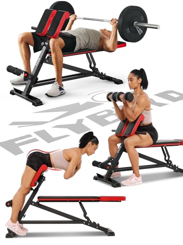 FLYBIRD 3-in-1 Workout Bench for Full Body Exercise
