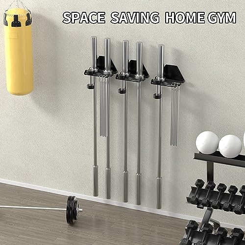 Olympic Barbell Rack Stand, Vertical Holder, Home Gym Organizer