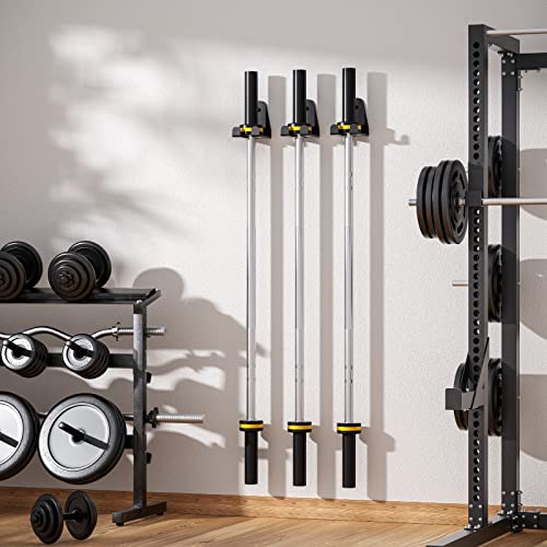 Barbell Hanger Wall Rack for Garage Gym, Black