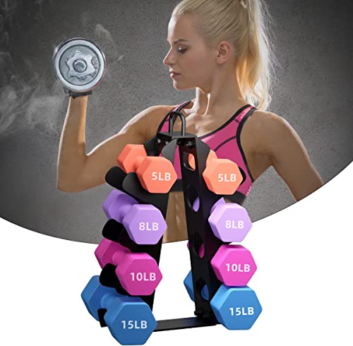 Bupans 4-Tier Dumbbell Rack Stand for Home Gyms