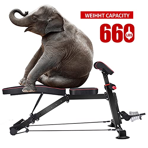 Adjustable Utility Weight Bench for Full Body Workout