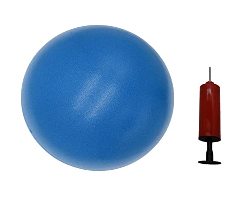 CIZEBO Mini Exercise Ball for Pilates and Therapy