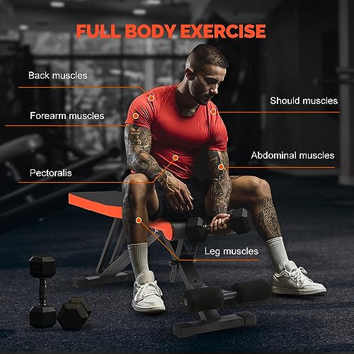 Adjustable Full Body Weight Bench for Home Gym