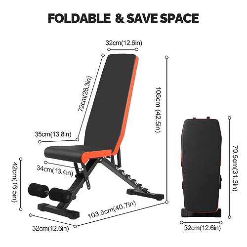 Adjustable Full Body Weight Bench for Home Gym