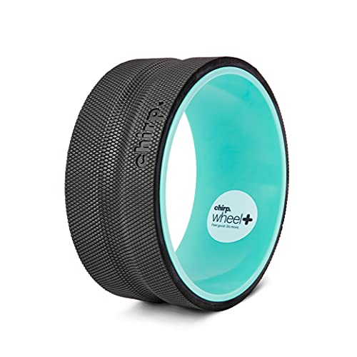 Chirp Foam Roller: Medium Back Stretcher, Muscle Yoga Wheel