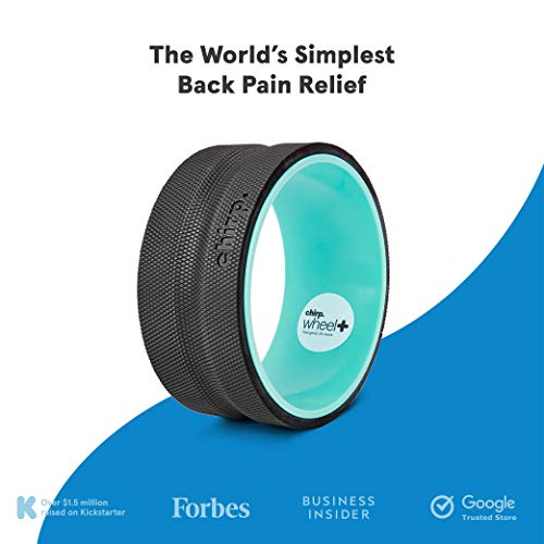 Chirp Foam Roller: Medium Back Stretcher, Muscle Yoga Wheel