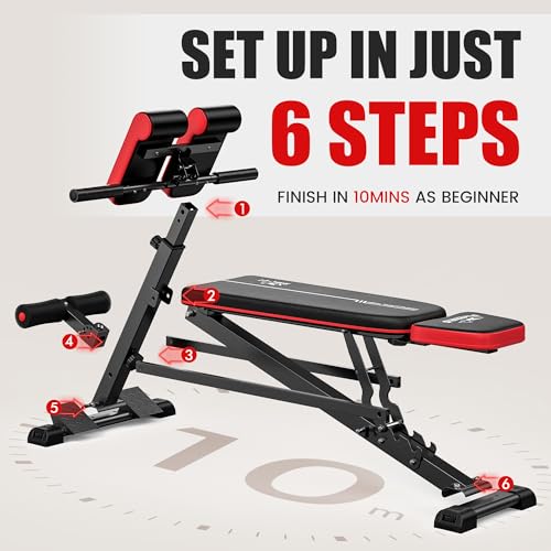 FLYBIRD 3-in-1 Workout Bench for Full Body Exercise