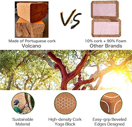 Natural Cork Yoga Blocks 2 Pack Set, Lightweight