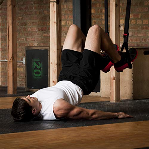 Lifeline Jungle Gym XT Suspension Trainer: Full-Body Workout