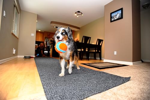 Chuckit! Indoor Fetch Ball Dog Toy (4.75 Inch), Orange and Blue