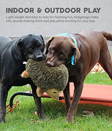 Outward Hound, Hedgehogz Plush Dog Toy, Medium