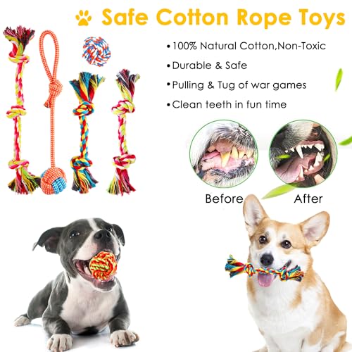 23-Piece Dog Toy Pack for Small/Medium Dogs