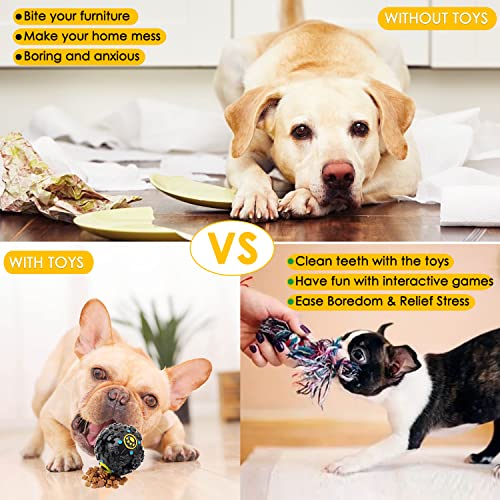 23-Piece Dog Toy Pack for Small/Medium Dogs