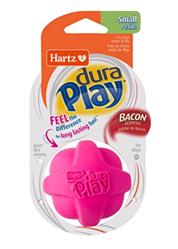 Hartz DuraPlay Bacon Scented Dog Toys, Small (Assorted Color)