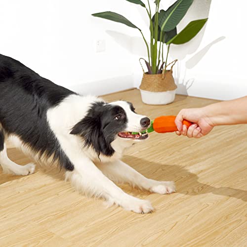 Easter Squeaky Chew Toy for Medium Dogs