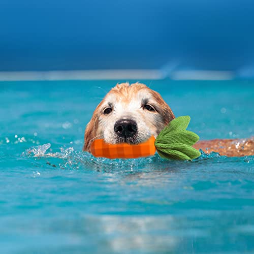 Easter Squeaky Chew Toy for Medium Dogs