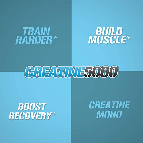 Evlution Pure Creatine Monohydrate Powder for Muscle Recovery