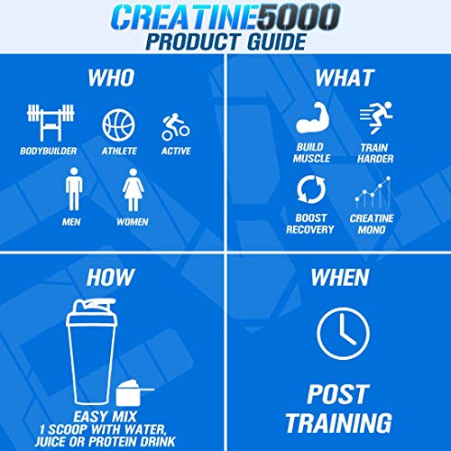 Evlution Pure Creatine Monohydrate Powder for Muscle Recovery
