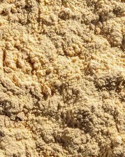 Ora Organic Pre-Workout Protein Powder - Vanilla Flavor