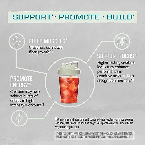 Micronized Creatine Monohydrate Powder PreWorkout Recovery Supplement - Vegan & Keto Friendly