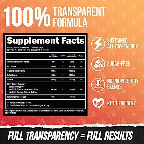 ALPHA LION Pre Workout Powder: Performance & Energy