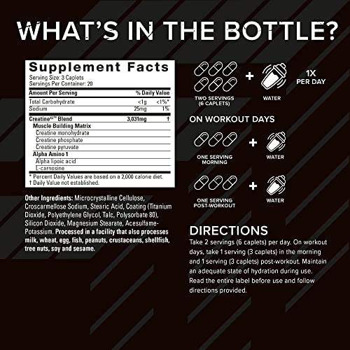 Muscle Recovery Creatine Capsules for Men & Women