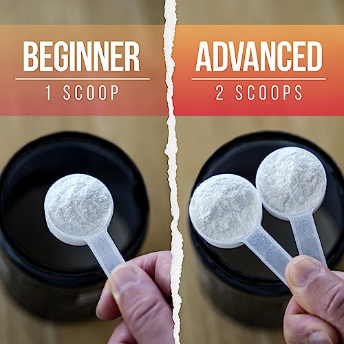 ALPHA LION Pre Workout Powder: Performance & Energy