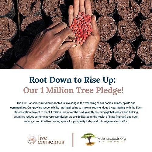 OmegaWell Fish Oil Capsules: Heart, Brain, Joint Support