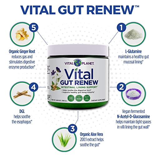 Vital Planet Gut Renew Powder Supplement for Leaky Gut