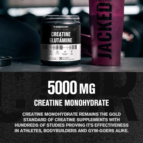 Creatine + Glutamine Combo for Muscle Recovery & Growth