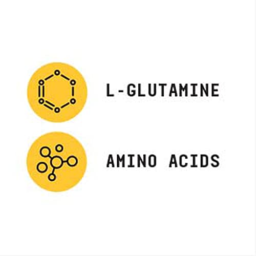 Chemistry Labs L-Glutamine Powder | Muscle Support | 30 Servings