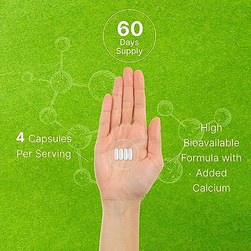 Ultra Strength HMB Supplements, 240 Capsules for Muscle Growth