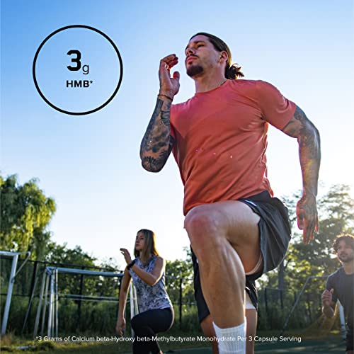 1000mg Optimum Nutrition HMB: 90 Capsules