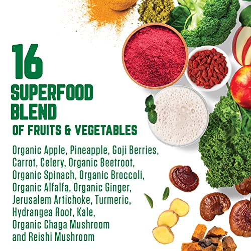 Superfood Vegan Meal Replacement Shake Vanilla - Lactose Free, Dairy Free Plant Based Protein Shake for Weight Management - Low Carb, No Added Sugar, Keto Meal Shake - 22g Protein, 15 Servings