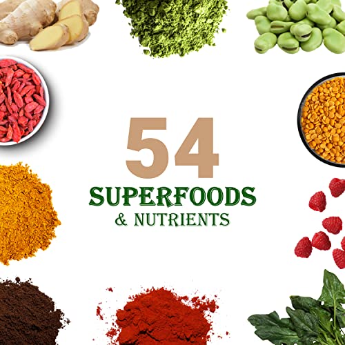 UpNourish Vanilla Cookie Vegan Protein Powder, Meal Replacement Shake, Gluten Free, Dairy Free, Packed with Essential Vitamins and Minerals, Keto-Friendly, Low-Carb Diet, 15 Servings