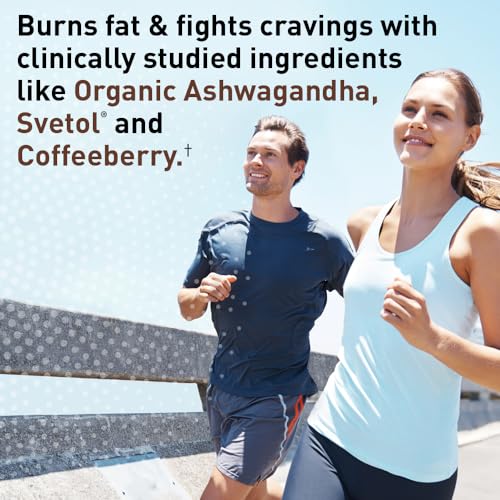 Garden of Life Dr. Formulated Keto Fit Weight Loss Shake - Chocolate Powder, 10 Servings, Truly Grass Fed Butter & Whey Protein, Studied Ingredients Plus Probiotics, Non-GMO, Gluten Free, Keto, Paleo