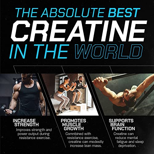 Muscle Feast Creapure Creatine Monohydrate Powder for Muscle Growth Nutritional_Supplement, Vegan Keto Friendly Gluten-Free Easy to Mix, Unflavored, 300g, 55.0 Servings (Pack of 1)