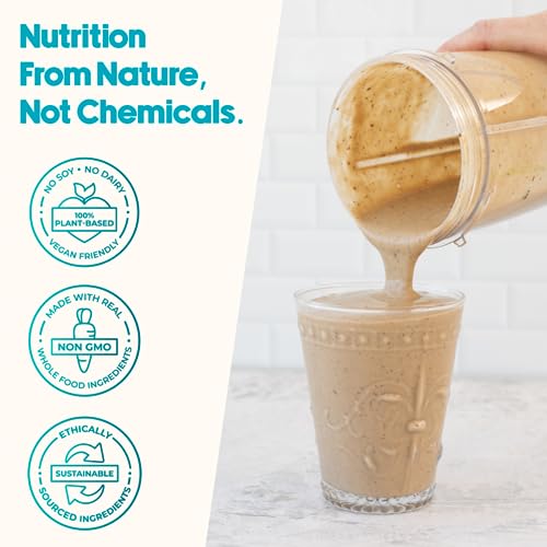 All-in-One Meal Replacement Powder by LyfeFuel - Low Carb Keto Superfood Shake - Plant Based Protein, 50+ Organic Greens (Vanilla, 24 Vegan Meals)