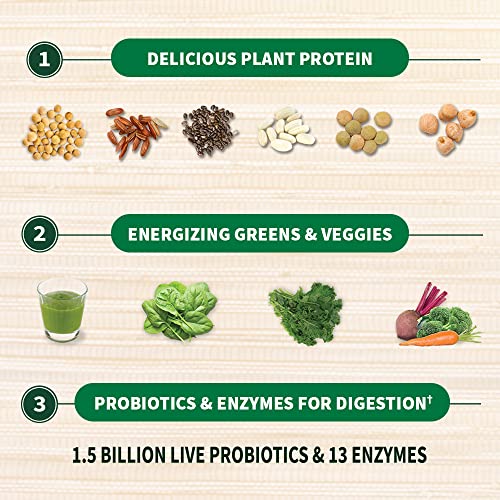 Organic Chocolate Protein Greens Powder, Garden Of Life
