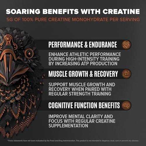 Birdman Falcon Vegan Protein Powder - Chocolate, 31g Protein