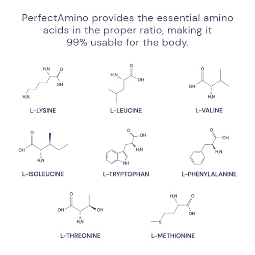 BodyHealth PerfectAmino, All 8 Essential Amino Acids with BCAAs + Lysine, Phenylalanine, Threonine, Methionine, Tryptophan, Supplement for Muscle Mass Production, Recovery & Strength (600 ct)