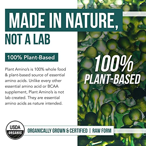 Plant Aminos Organic Essential Amino Acids (EAAs) & BCAA - 100% Plant-Based Raw, Vegan - All 9 Amino Acids with 18 Total Amino Acids (360 Tablets)