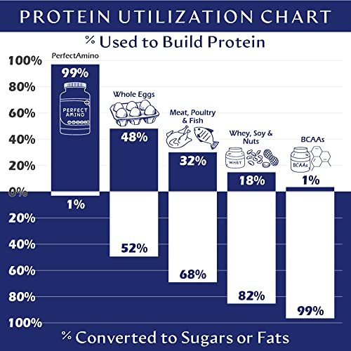 BodyHealth PerfectAmino (150 ct) Easy to Swallow Tablets, Essential Amino Acids Supplement with BCAAs, Vegan Protein for Pre/Post Workout & Muscle Recovery with Lysine, Tryptophan, Leucine, Methionine