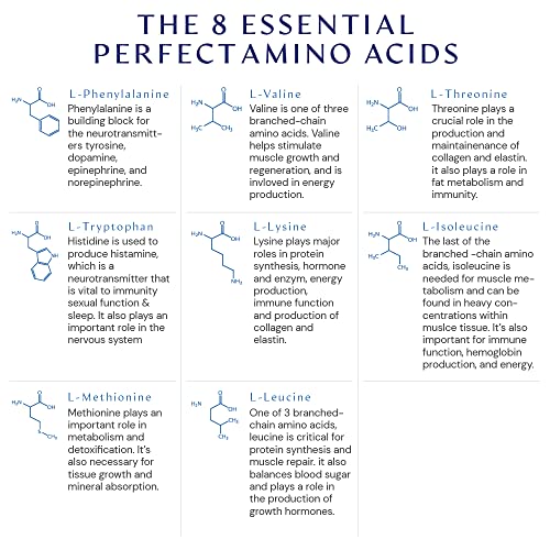 BodyHealth PerfectAmino (150 ct) Easy to Swallow Tablets, Essential Amino Acids Supplement with BCAAs, Vegan Protein for Pre/Post Workout & Muscle Recovery with Lysine, Tryptophan, Leucine, Methionine