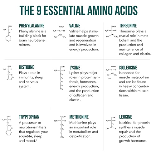 Plant Aminos Organic Essential Amino Acids (EAAs) & BCAA - 100% Plant-Based Raw, Vegan - All 9 Amino Acids with 18 Total Amino Acids (360 Tablets)
