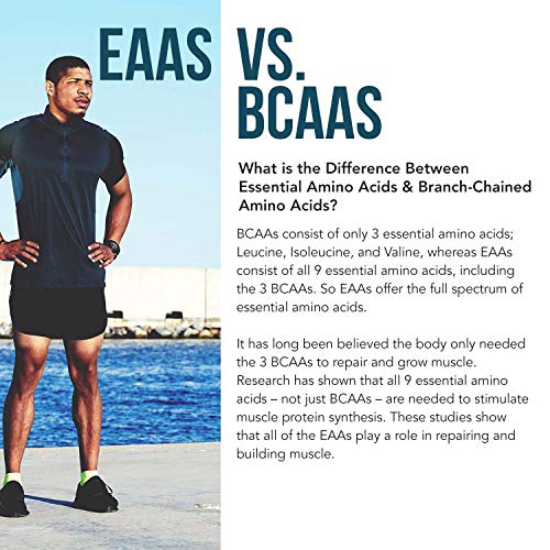 Plant Aminos Organic Essential Amino Acids (EAAs) & BCAA - 100% Plant-Based Raw, Vegan - All 9 Amino Acids with 18 Total Amino Acids (360 Tablets)