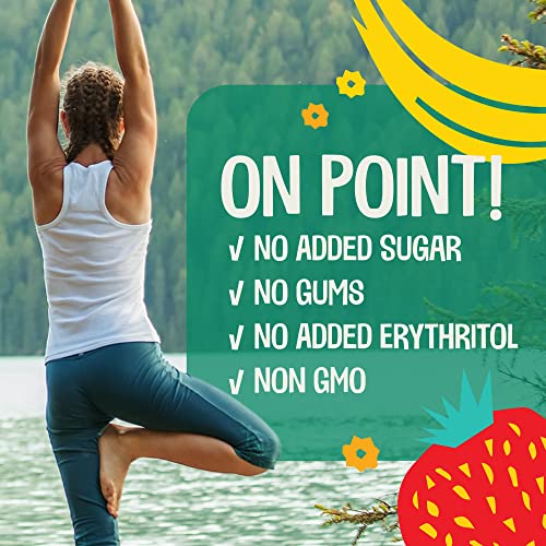 EarthChimp Organic Vegan Protein Powder - Chocolate, 26 Servings